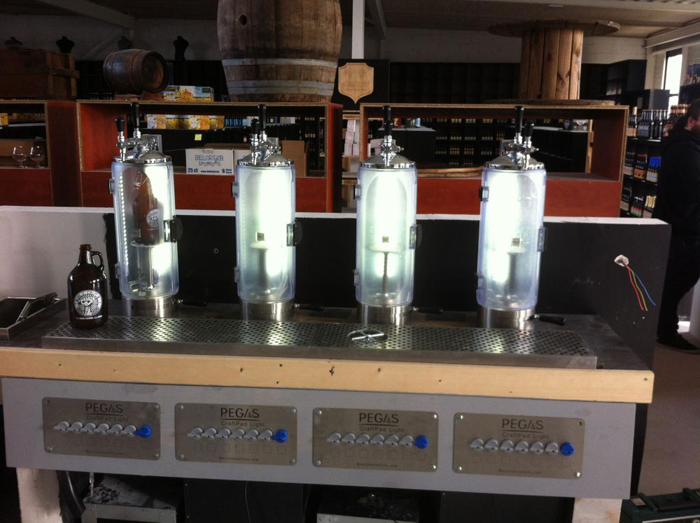 Pegas CraftPad Light - example application