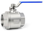 Ball valves with BSP couplers